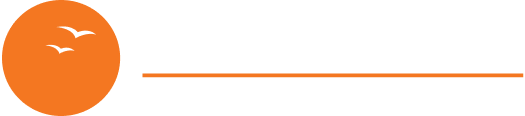 Torus